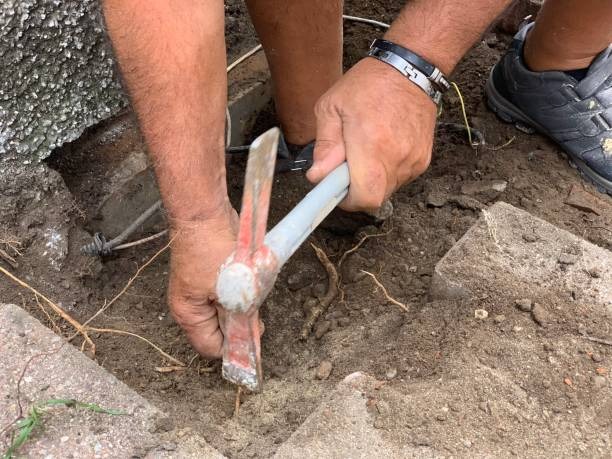 Why Foundation Repair Is Essential for Maintaining Structural Stability